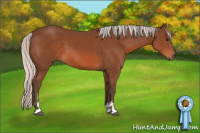 Horse Color:Silver Bay Sabino 