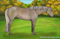 Horse Color:Silver Black Sabino 