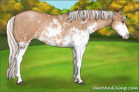 Horse Color:Silver Black Pearl Sabino 