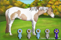 Horse Color:Black Pearl Sabino Tobiano 