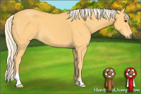 Horse Color:Palomino