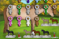 Horse Color:Bay Pearl Sabino 