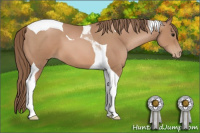 Horse Color:Black Pearl Tobiano 