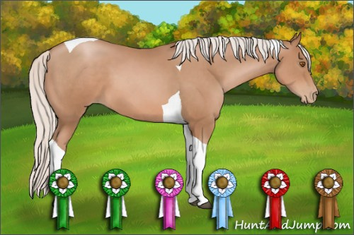Horse Color: Silver Black Pearl Tobiano 
