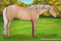 Horse Color:White Spotted Silver Black Pearl 