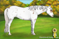 Horse Color:Silver Bay Sabino 
