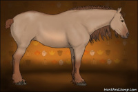 Horse Color:Liver Red Dun 