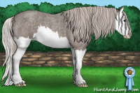 Horse Color:Silver Blue Roan Splash 