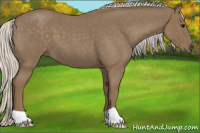Horse Color:Silver Smoky Blue Roan
