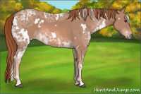Horse Color:White Spotted Liver Chestnut Ice 