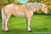 Horse Color:White Spotted Chocolate Palomino Ice Sabino