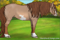 Horse Color:Liver Red Dun Frame 