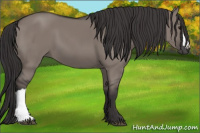 Horse Color:Smoky Grullo 