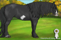 Horse Color:Black Frame 