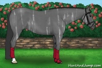 Horse Color:Blue Ice Roan 