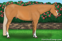 Horse Color:Chocolate Palomino 