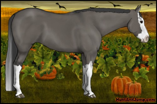Horse Color: Grullo Splash 