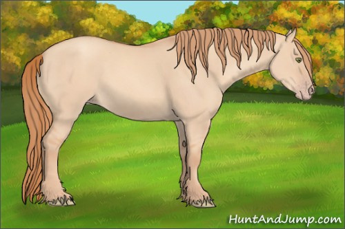 Horse Color: Gold Champagne Dun 