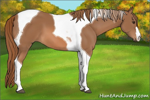 Horse Color: Chestnut Tobiano 