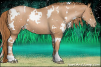Horse Color:White Spotted Liver Chestnut Pearl 