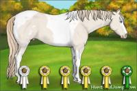 Horse Color:White Spotted Smoky Creme Dun Tobiano 