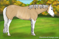 Horse Color:Silver Buckskin Sabino Splash Rabicano