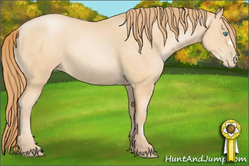 Horse Color: Buckskin Pearl 