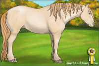 Horse Color:Buckskin Pearl 