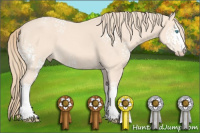 Horse Color:White Spotted Perlino 