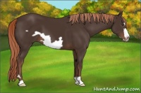 Horse Color:Liver Chestnut Frame