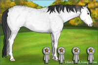 Horse Color:White Spotted Black 