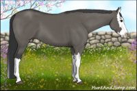 Horse Color:Brown Dun Splash 