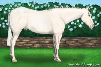 Horse Color:Silver Buckskin Roan Pearl Dun 