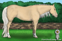 Horse Color:Silver Classic Cream Champagne 