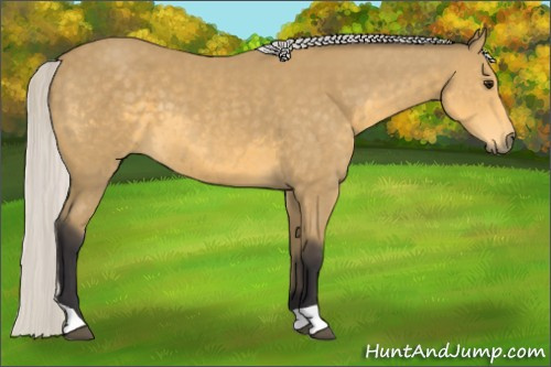 Horse Color: Silver Buckskin 