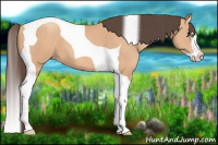 Horse Color:Amber Champagne Splash Tobiano 