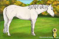 Horse Color:Cremello Dun 