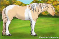 Horse Color:Chocolate Palomino Dun Tobiano 