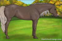 Horse Color:Silver Black 