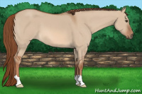 Horse Color:Liver Red Dun 