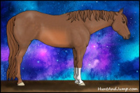 Horse Color:Liver Chestnut 