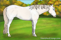 Horse Color:White Spotted Perlino Dun Tobiano 