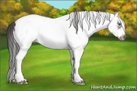 Horse Color:White Spotted Brown Splash Frame Appaloosa