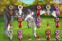 Horse Color:Smoky Black Sabino 