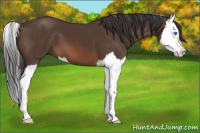 Horse Color:Brown Splash
