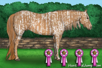 Horse Color:Bay Tobiano Blanket Rabicano  Brindle