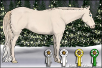 Horse Color:Perlino 