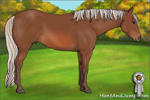 Horse Color: Silver Bay 