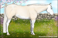 Horse Color:Palomino Pearl Splash