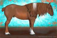 Horse Color:Liver Chestnut Sabino Tobiano
